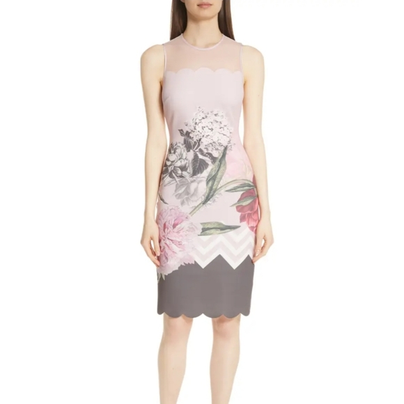 Ted Baker London Dresses & Skirts - NEW Ted Baker Palace Gardens Body-con Dress XS